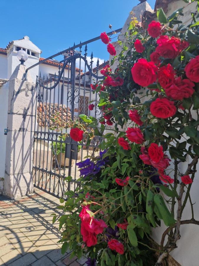 Guesthouse Villa Galovic Brsec Exterior photo